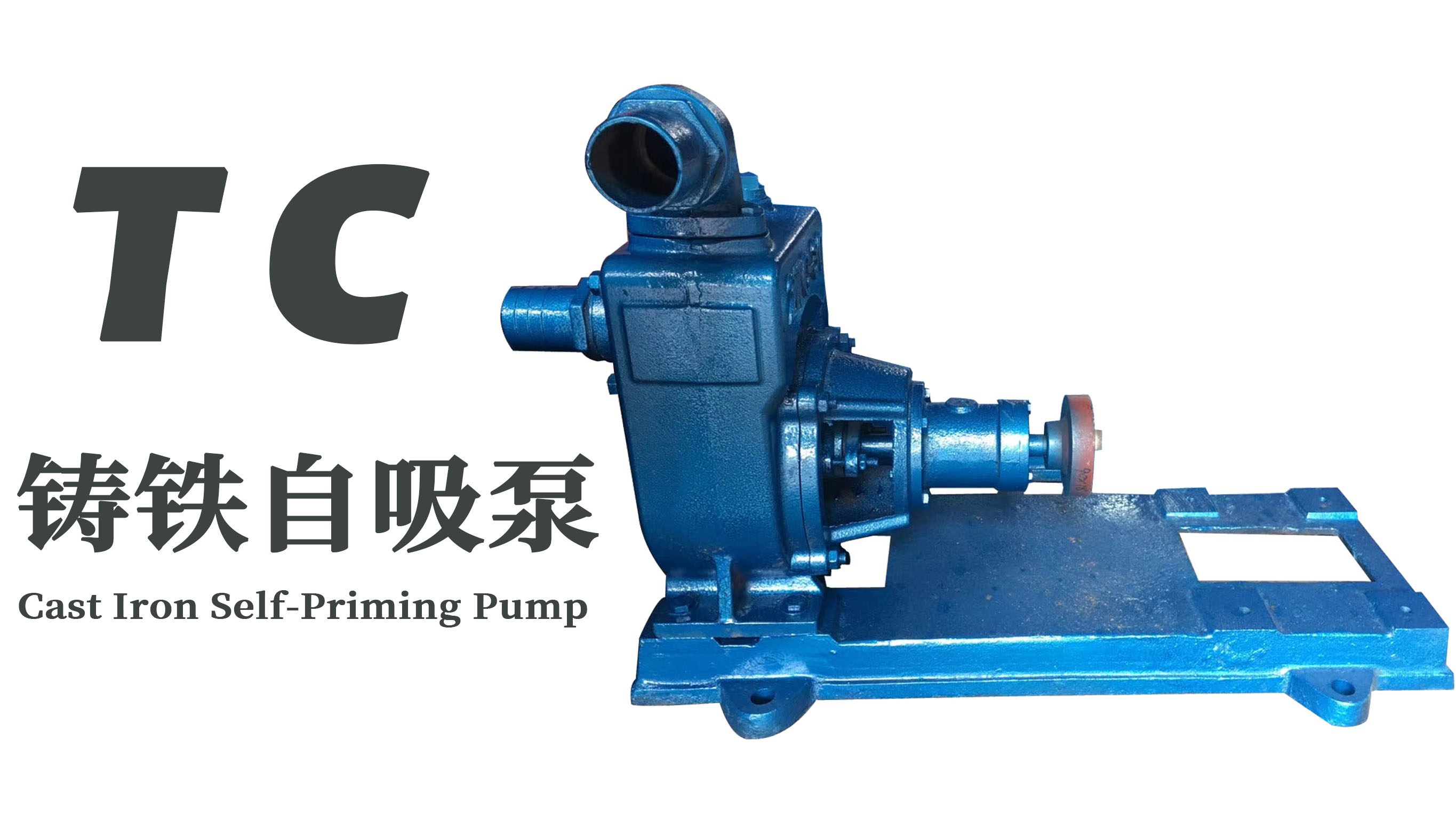 TC铸铁分体自吸泵